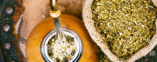 Yerba maté