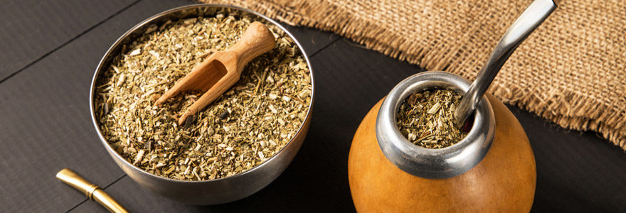 maté