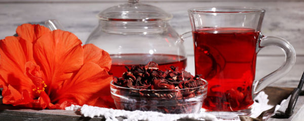 the a l'hibiscus